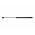 4447 by STRONG ARM LIFT SUPPORTS - Back Glass Lift Support