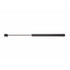 4447 by STRONG ARM LIFT SUPPORTS - Back Glass Lift Support