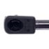 6019 by STRONG ARM LIFT SUPPORTS - Liftgate Lift Support