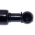 6143 by STRONG ARM LIFT SUPPORTS - Trunk Lid Lift Support