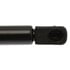 6379 by STRONG ARM LIFT SUPPORTS - Liftgate Lift Support