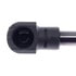6419 by STRONG ARM LIFT SUPPORTS - Trunk Lid Lift Support