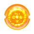 39731B by UNITED PACIFIC - Truck Cab Light - 17 LED Dual Function Watermelon, Amber LED/Amber Lens