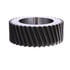 3892E4061 by MERITOR - SPUR GEAR