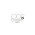 8401079 by SUNSONG - Power Steering Pump Seal Kit