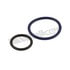 17099 by WALKER PRODUCTS - Walker Products 17099 Fuel Injector Seal Kit