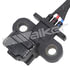 235-91033 by WALKER PRODUCTS - Crankshaft Position Sensors determine the position of the crankshaft and send this information to the onboard computer. The computer uses this and other inputs to calculate injector on time and ignition system timing.