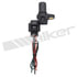 235-91124 by WALKER PRODUCTS - Camshaft Position Sensors determine the position of the camshaft and send this information to the onboard computer. The computer uses this and other inputs to calculate injector on time and ignition system timing.