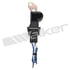 235-91424 by WALKER PRODUCTS - Camshaft Position Sensors determine the position of the camshaft and send this information to the onboard computer. The computer uses this and other inputs to calculate injector on time and ignition system timing.