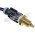 210-91002 by WALKER PRODUCTS - Walker Products 210-91002 Air Charge Temperature Sensor - Full Service Kit