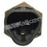 211-1117 by WALKER PRODUCTS - Walker Products 211-1117 Engine Coolant Temperature Sensor