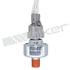 242-91018 by WALKER PRODUCTS - Ignition Knock (Detonation) Sensors detect engine block vibrations caused from engine knock and send signals to the computer to retard ignition timing.