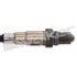 250-241256 by WALKER PRODUCTS - Walker Premium Wideband Oxygen Sensors are 100% OEM quality. Walker Oxygen Sensors are precision made for outstanding performance and manufactured to meet or exceed all original equipment specifications and test requirements.