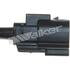 250-25119 by WALKER PRODUCTS - Walker Premium Oxygen Sensors are 100% OEM quality. Walker Oxygen Sensors are precision made for outstanding performance and manufactured to meet or exceed all original equipment specifications and test requirements.