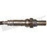 350-34116 by WALKER PRODUCTS - Walker Products 350-34116 Oxygen Sensor 4-W Direct Fit