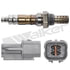 350-34356 by WALKER PRODUCTS - Walker Products 350-34356 Oxygen Sensor 4-W Direct Fit