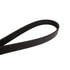 4060325 by CONTINENTAL AG - Automotive Multi-V Belt