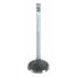 Sealed Power V-2579 Engine Exhaust Valve Engine Exhaust Valve