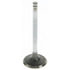 V-4496 by SEALED POWER - Engine Intake Valve