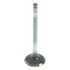 V-4557 by SEALED POWER - Engine Exhaust Valve