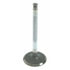 V-2041 by SEALED POWER - Engine Intake Valve