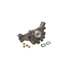 Dayco DP1015 Engine Water Pump WATER PUMP-AUTO/LIGHT TRUCK, DAYCO
