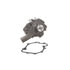 DP1071 by DAYCO - WATER PUMP-AUTO/LIGHT TRUCK, DAYCO