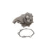 DP1343 by DAYCO - WATER PUMP-HEAVY DUTY, DAYCO