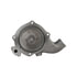 DP1385 by DAYCO - WATER PUMP-AUTO/LIGHT TRUCK, DAYCO