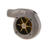 Dayco DP1645 Engine Water Pump WATER PUMP-HEAVY DUTY, DAYCO