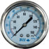 80L25CB16 by TECTRAN - Brake Pressure Gauge - Center Mount, 2.5 in. diameter, 0 - 160 psi, Glycerin Filled