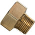 120-AA by TECTRAN - Air Brake Governor Adapter - Brass, 1/8 in. Female Pipe, 1/8 in. Male Thread