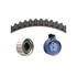 Dayco 95284K2 Engine Timing Belt Kit TIMING BELT KIT, DAYCO