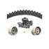 Dayco WP228K1A Engine Timing Belt Kit with Water Pump WATER PUMP KIT, DAYCO