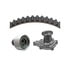 Dayco WP249K1A Engine Timing Belt Kit with Water Pump WATER PUMP KIT, DAYCO