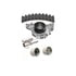 Dayco WP287K1A Engine Timing Belt Kit with Water Pump WATER PUMP KIT, DAYCO