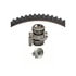 Dayco WP296K1AM Engine Timing Belt Kit with Water Pump WATER PUMP KIT, DAYCO