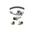 WP298K1A by DAYCO - WATER PUMP KIT, DAYCO