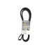 Dayco 5081265 Serpentine Belt SERPENTINE BELT