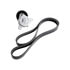 Dayco 5060550K1 Serpentine Belt Drive Component Kit SERPENTINE BELT
