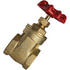 2006-12 by TECTRAN - Shut-Off Valve - Brass, 3/4 inches Pipe Thread, Gate Valve, Female to Female Pipe