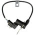 SS11871 by DELPHI - Automatic Transmission Speed Sensor