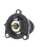 Motorad 797-176 Engine Coolant Thermostat Housing Assembly Integrated Housing Thermostat-176 Degrees w/ Seal