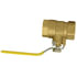 2005-16 by TECTRAN - Shut-Off Valve - Brass, 1 inches Pipe Thread, Female to Female Pipe