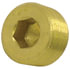 118-B by TECTRAN - Air Brake Pipe Head Plug - Brass, 1/4 inches Pipe Thread, Counter Sunk Hex Head