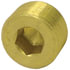 118-B by TECTRAN - Air Brake Pipe Head Plug - Brass, 1/4 inches Pipe Thread, Counter Sunk Hex Head