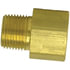 120-BB by TECTRAN - Air Brake Governor Adapter - Brass, 1/4 in. Female Pipe, 1/4 in. Male Thread