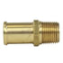 325-12D by TECTRAN - Air Tool Hose Barb - Brass, 3/4 in. Hose I.D, 1/2 in. NPT, Hose Barb to Male Pipe