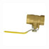 2005-64 by TECTRAN - Shut-Off Valve - Brass, 4 inches Pipe Thread, Female to Female Pipe