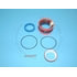 900.02759 by BLUMAQ - HYDRAULIC SEAL KIT